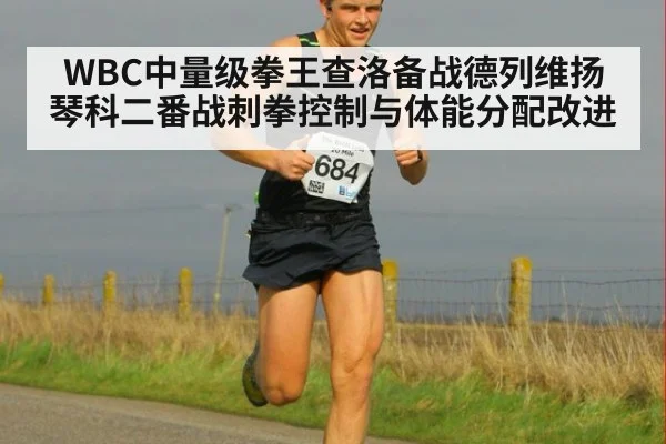 WBC中量级拳王查洛备战德列维扬琴科二番战刺拳控制与体能分配改进 | jiuyouhui